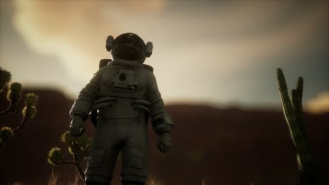astronauta en el alto desierto de nevada