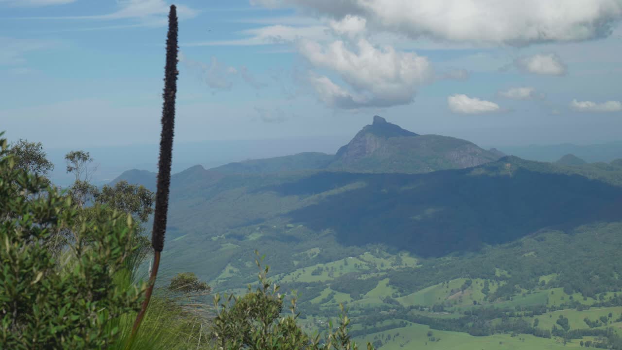Breathtaking view of Mount Warning from The Pinnacle lookout, framed by lush greenery and a vast horizon under a clear sky.