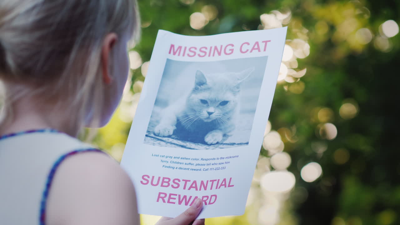 한 아이가 고양이를 잃었다는 발표문을 손에 들고 있다