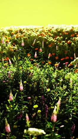 vibrant meadow bursting with colors during a golden sunset glow