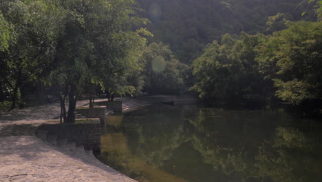 Path-among-the-trees-near-pond-Trang-An-Vietnam