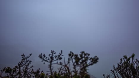 Shot-of-dense-thick-fog-visible-over-San-Francisco-Bay,-California,-USA,-seen-from-the-Grizzly-Peak-Blvd-lookout-during-morning-time