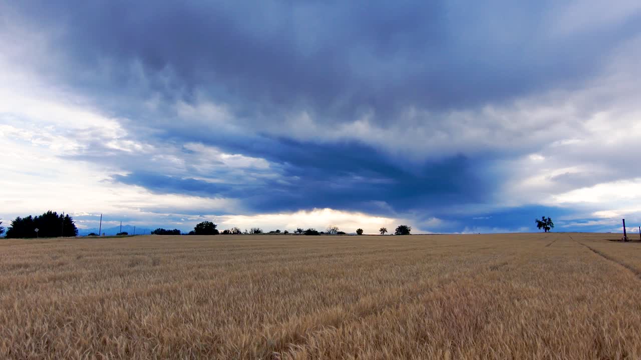 una foto de un dron con trigo de invierno, un cielo tormentoso y las majestuosas montañas rocosas