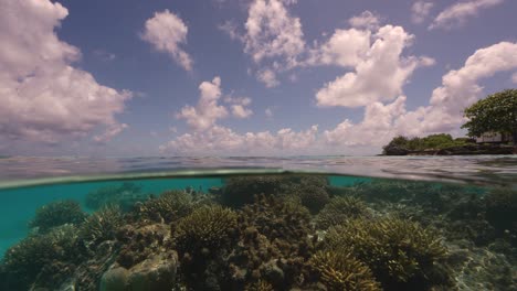 tiro dividido, mitad arriba, mitad debajo del agua de un arrecife de coral tropical en fakarva, el segundo atolón más grande de la polinesia francesa en el océano pacífico sur en cámara lenta