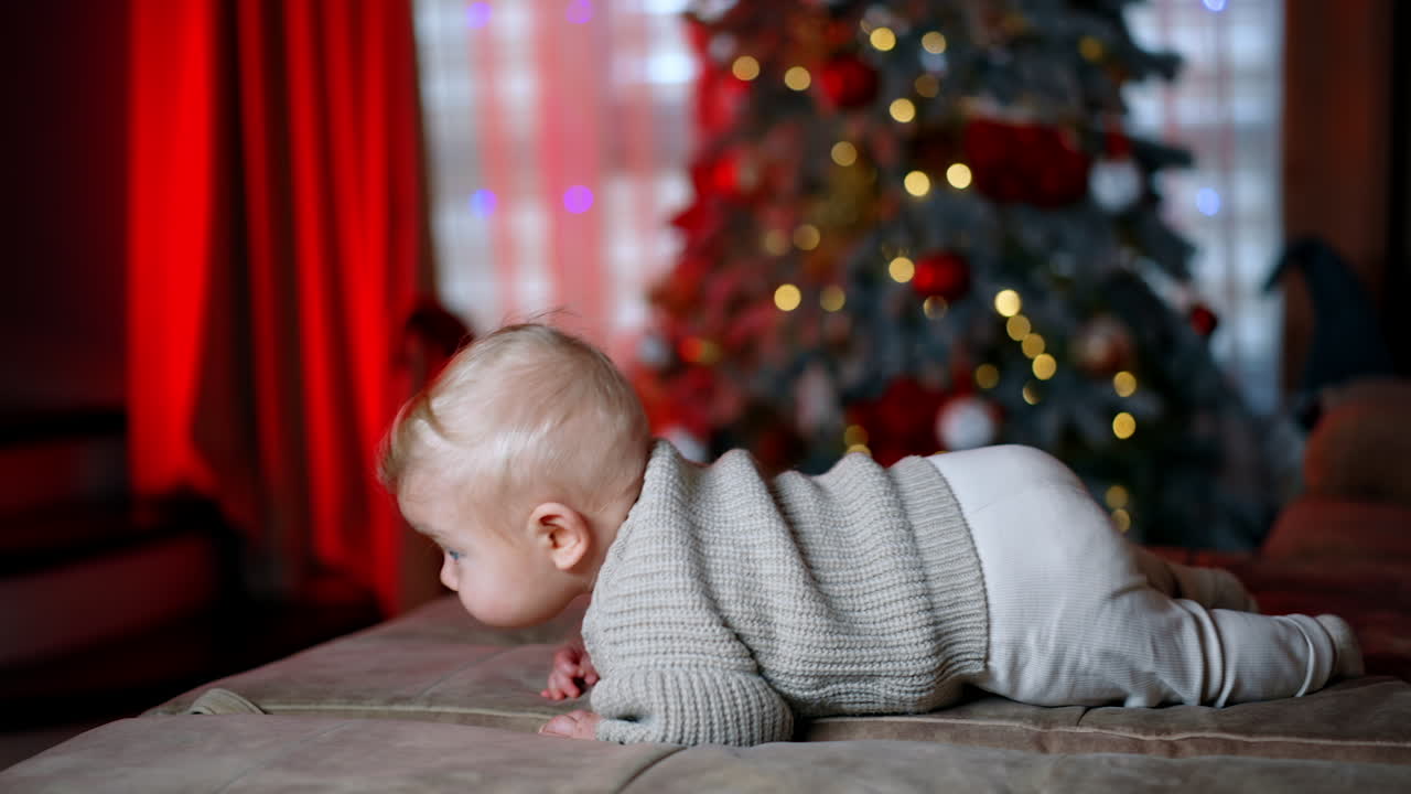 Little blond baby boy wearing warm grey sweater and white pants lies on his belly. Infant is trying to crawl by the sofa. Christmas tree at backdrop in blur.