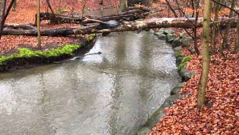 Río-En-El-Spam-Húmedo-Durante-El-Otoño