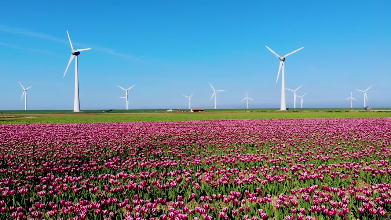 Windmill turbines, Offshore Windmill farm in the ocean Westermeerwind park , windmills isolated at sea on a beautiful bright day Netherlands Flevoland Noordoostpolder