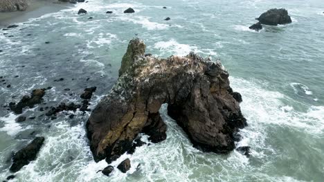 Vista-Cinematográfica-De-Roca-Arqueada-Mientras-Las-Gaviotas-Aterrizan-Mientras-Las-Olas-Chocan,-Bahía-De-Bodega-Del-Condado-De-Sonoma,-Autopista-1,-California