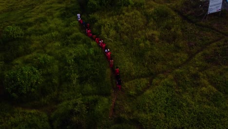 drone shot of people walking towards the forest