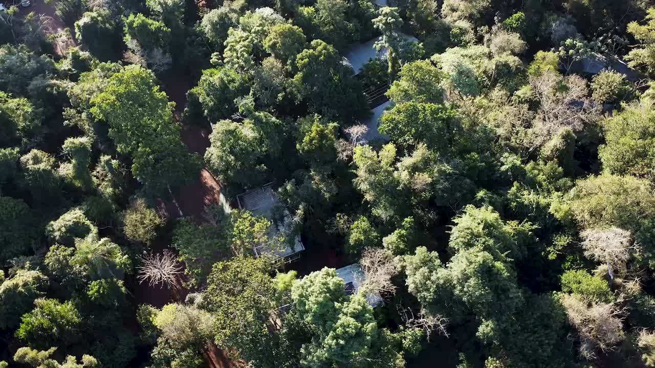Top-down spiral drone movement over dense jungle on a slightly settled environment