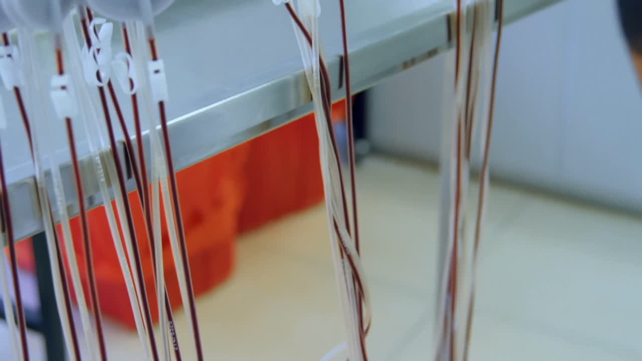 혈액 봉지를 분석하는 실험실 기술자 4k