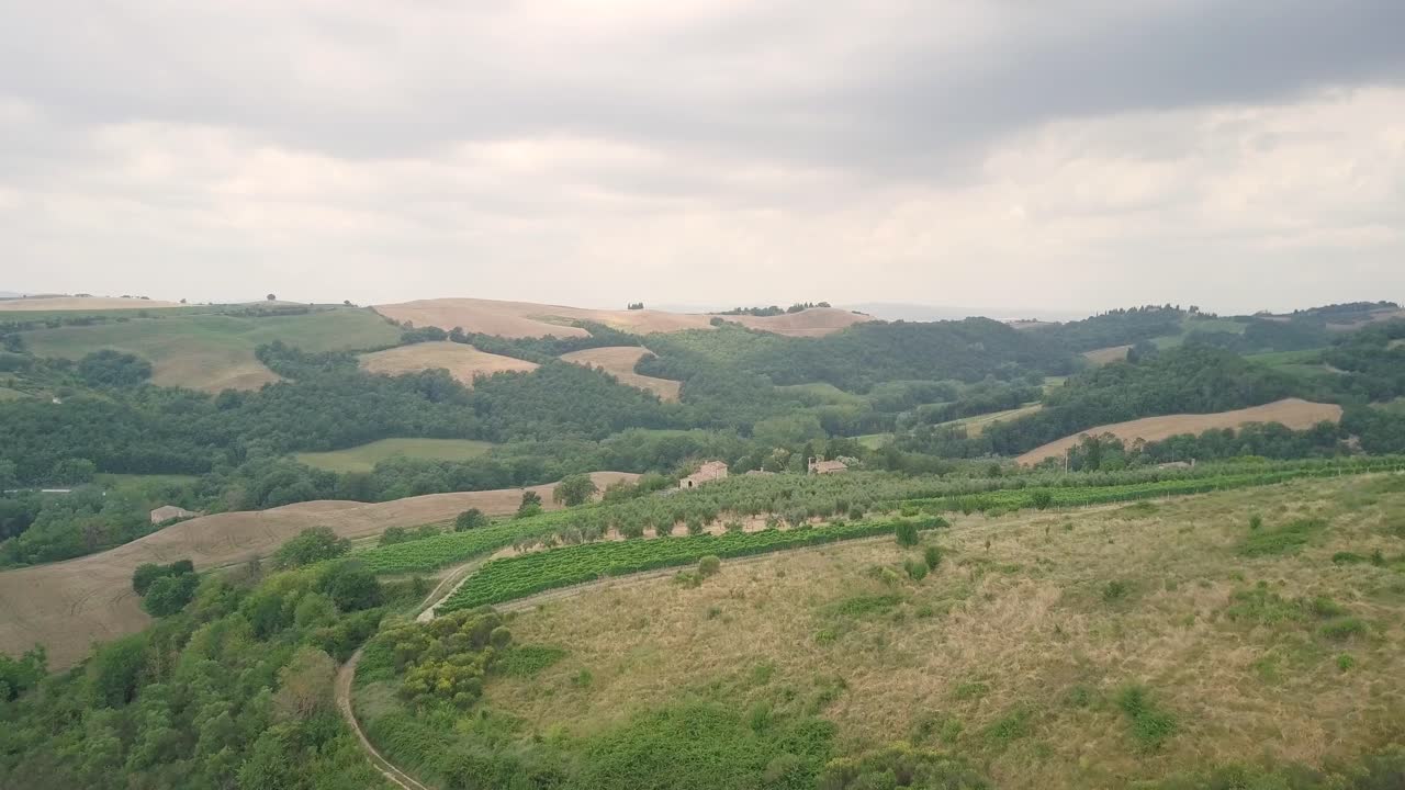drone se acerca a los viñedos en la cima de las colinas con una vieja casa de campo en la toscana, italia, europa