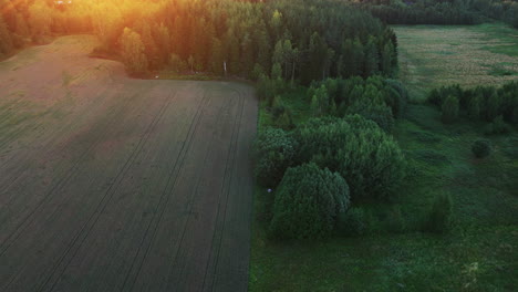 Drone-tilting-in-front-of-deers-on-rural-fields-with-colorful-sunset-flares