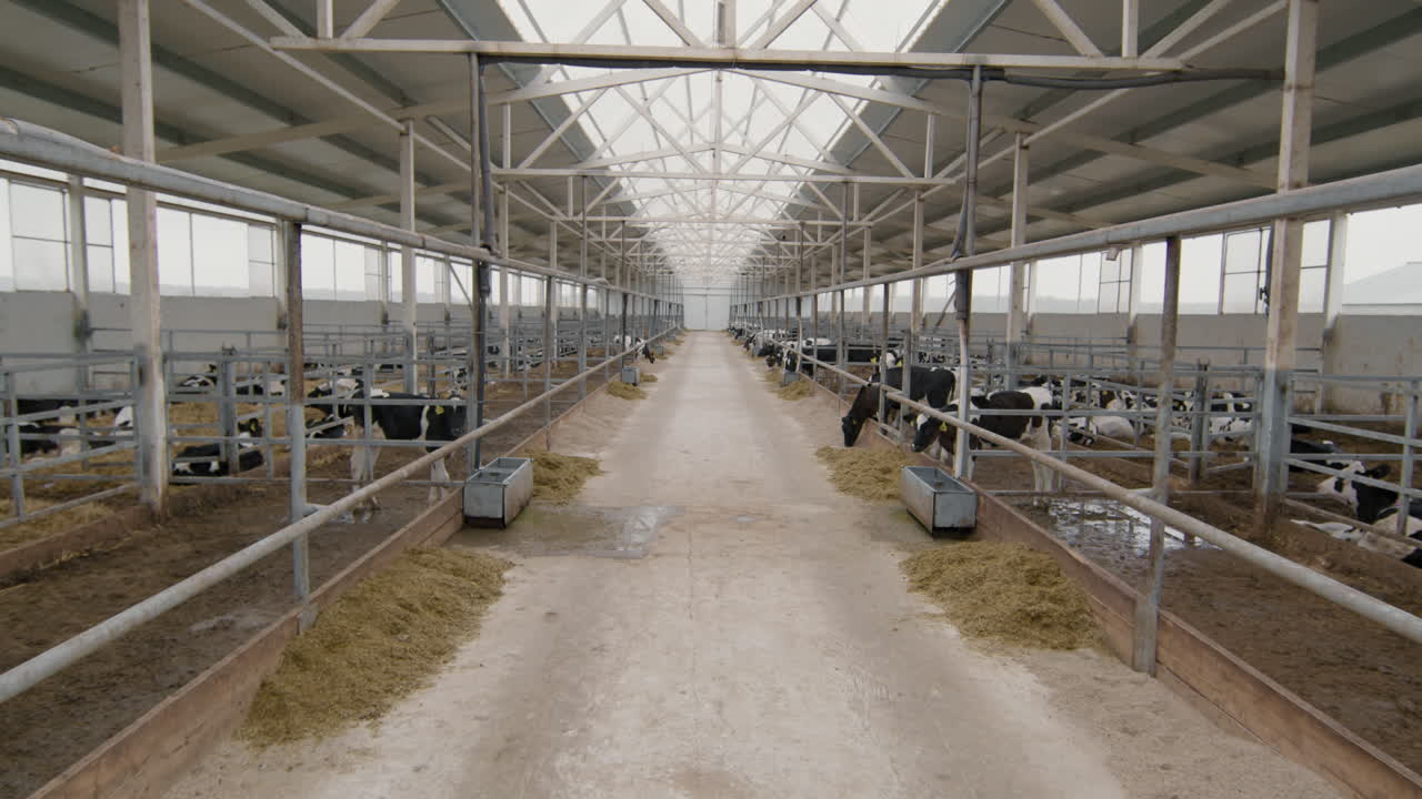 Intérieur d'une ferme laitière