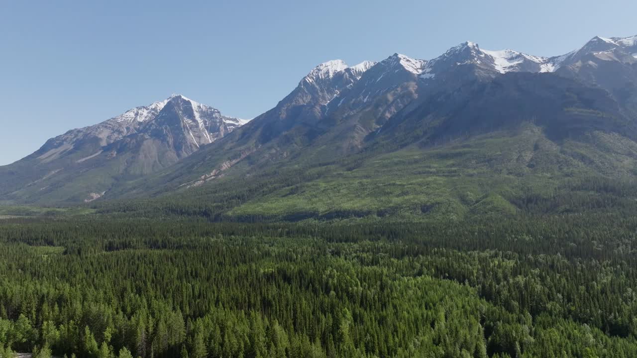 el dron se desplaza a la izquierda y gira a la derecha revelando altas montañas nevadas y un vasto bosque de pinos en el desierto cerca de banff y yoho national park en canadá bajo un cielo azul.