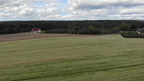 buckwheat field seen from high-altitude drone flying forward above the plants