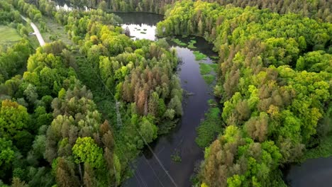 Panorama,-drone-view-of-a-winding-river-meandering-through-the-trees