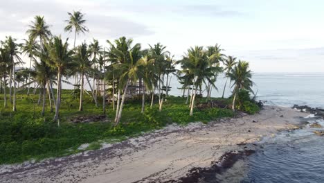 two-story beachfront cottage hut under construction amid coconut palms