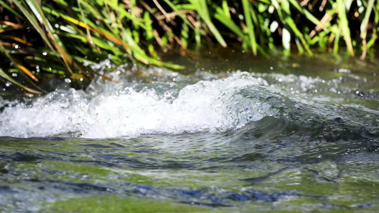 Clear creek water rushes over rocks and grass in bright daylight, creating dynamic ripples