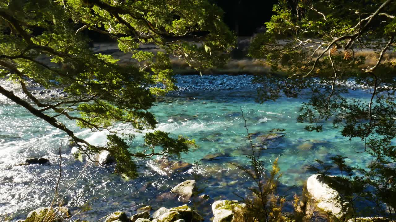 뉴질랜드 의  ⁇ 은 파란 강