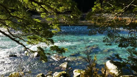 clear blue river in new zealand