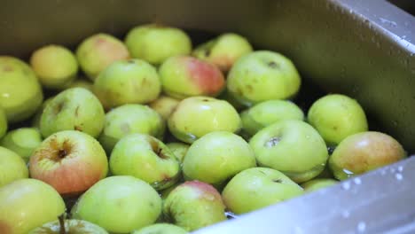 Washing-Freshly-Picked-Apples-On-Kitchen-Sink