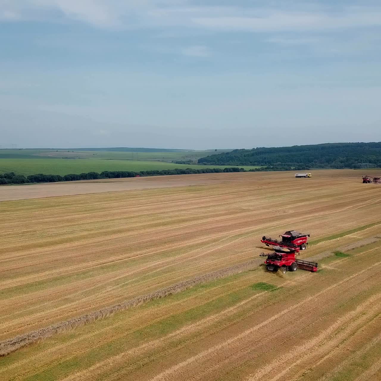 Agricultural machinery for harvesting grain in action. Wheat harvest. Aerial view.