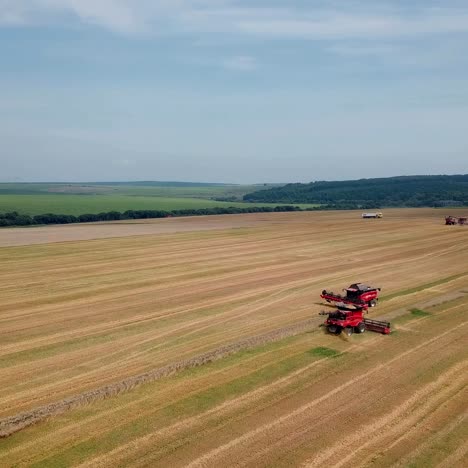 agricultural machinery for harvesting grain in action. wheat harvest. aerial view.
