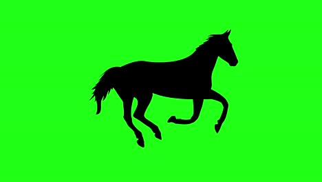 silhouette of a running horse. green screen background. 4k animation.