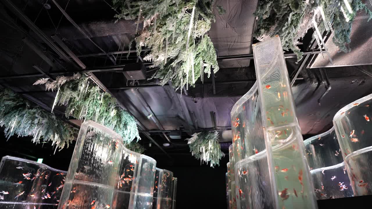 Aquariums With Goldfish, Waterfalls and Led Lights as Art Exhibition