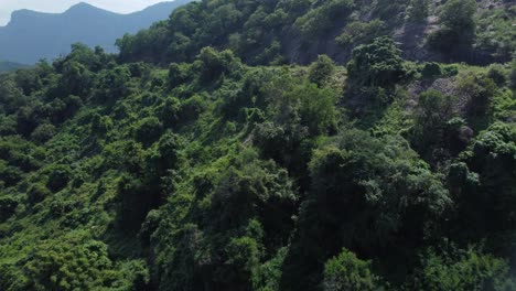 Toma-De-Drone-Del-Bosque-De-Reserva-De-Aliyar,-Coimbatore,-Tamil-Nadu,-Sur-De-La-India.