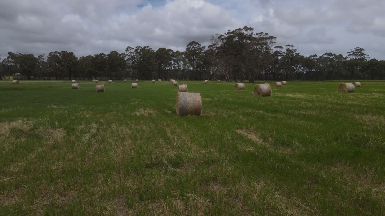 서부 호주 마가렛 강에서 흐린 날에 많은 풀 베일이 있는 농업 분야로의 공중 궤도
