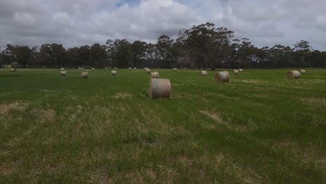 órbita aérea a campos agrícolas con muchos fardos de hierba en un día nublado en el río margaret, australia occidental