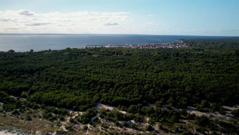 Antena-Sobre-Un-Frondoso-Bosque-Cerca-De-La-Ciudad-Balnearia-De-Hel-En-El-Condado-De-Puck,-Voivodato-De-Pomerania,-Norte-De-Polonia