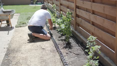 rollo de nuevo césped natural instalado por jardinero profesional. industria de jardinería.