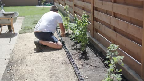 roll of new natural grass turf installed by professional gardener. landscaping industry.