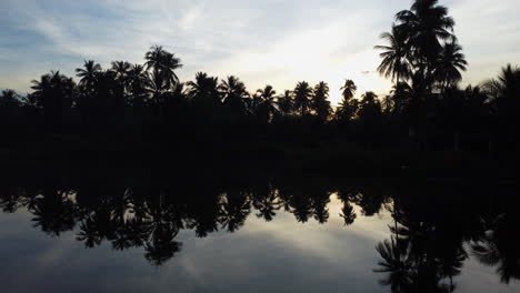 aerial, silhouette of coconut palm tree forest reflection on lake