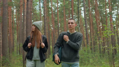 botanists walking through forest trail, attentively observing environment with curious expressions, surrounded by tall pine trees and lush greenery