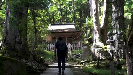 solo male hiker walking towards forest temple lodging in forest in japan