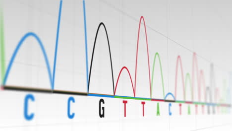 Animation-of-graphs-and-statistics