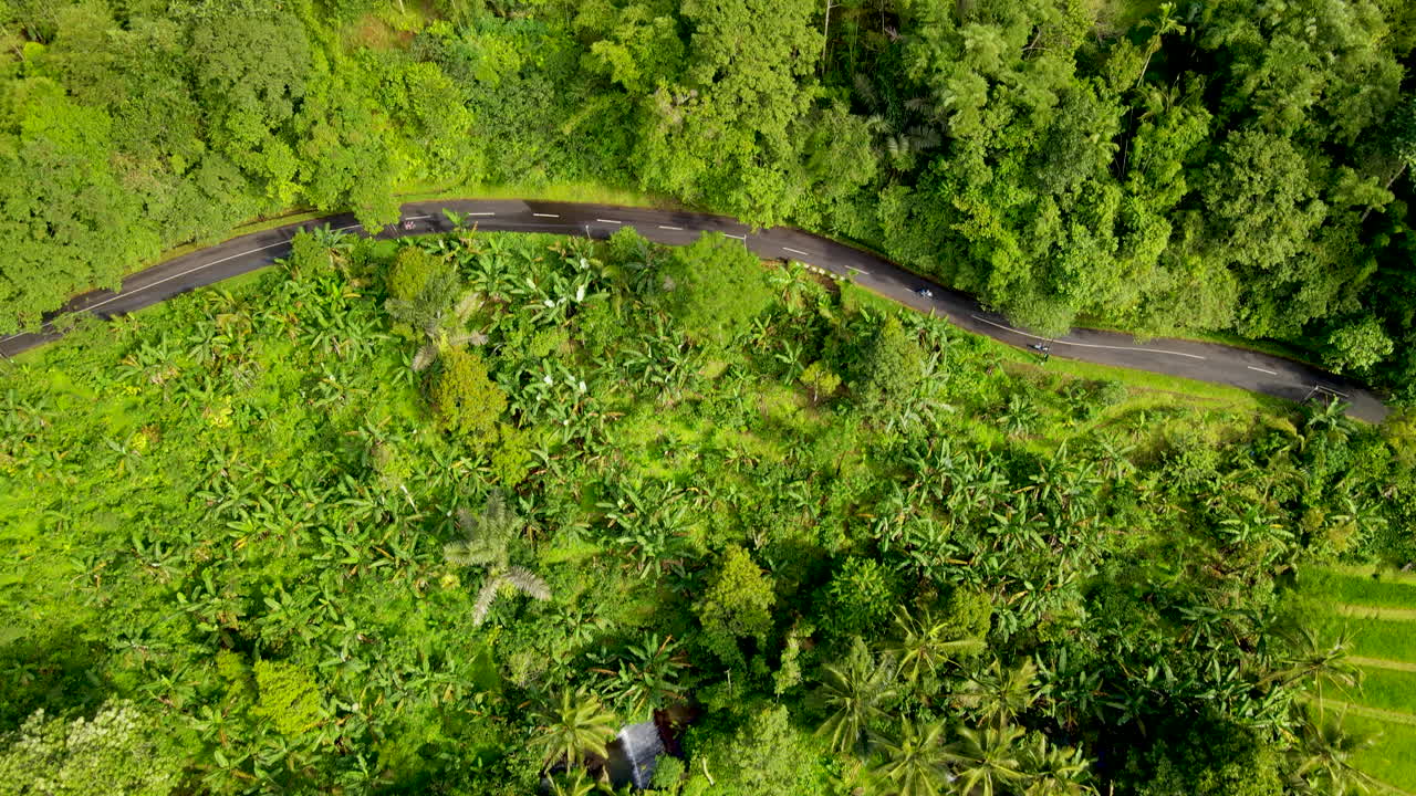 campos de arroz de vegetación brillante y bosques cerca de la carretera rural en el oeste de bali, indonesia
