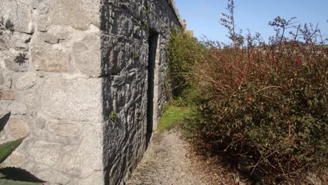 Dependencia-De-Piedra-Con-Un-Arbusto-Fucsia