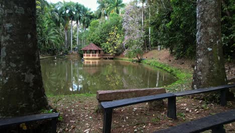 Ein-Kleiner-Teich-In-Einem-Dorf,-Umgeben-Von-Bäumen