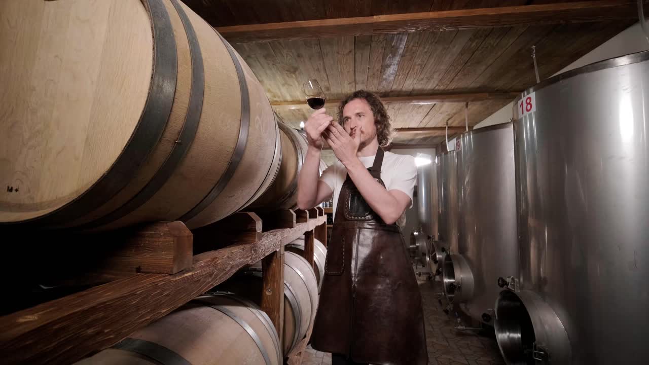Authentic shot of successful male sommelier is tasting a flavor and checking white wine quality poured in transparent glass in a wine cellar.