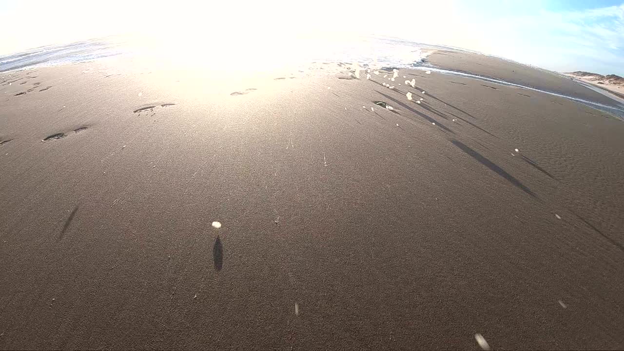 해변에서 폭풍의 해조류 거품, 느린 동작, 모래 해변, 북해, jütland, søndervig, 덴마크, 4k