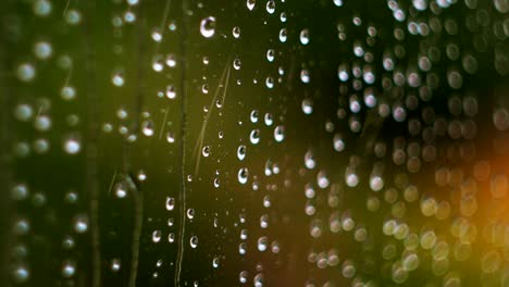 raindrops running down a window pane