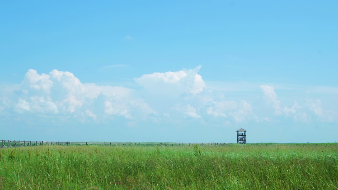 인도교 경로에서 아름다운 흰색 빠르게 움직이는 구름과 하늘의 시간 경과와 화창한 여름날 리파자 호수 갈대밭의 조류 관찰 탑, 와이드 샷