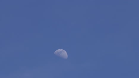 Time-lapse-clouds-over-half-moon-in-pale-blue-sky,-lunar-phase