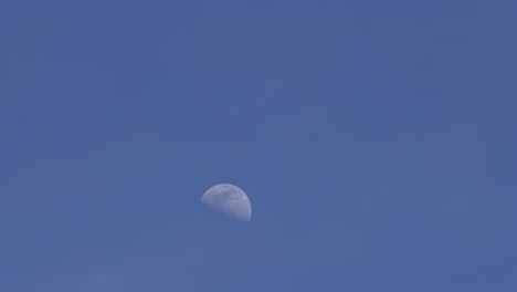 time-lapse clouds over half moon in pale blue sky, lunar phase