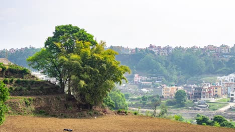 a man working in the field on a terrace in kathmandu, nepal.